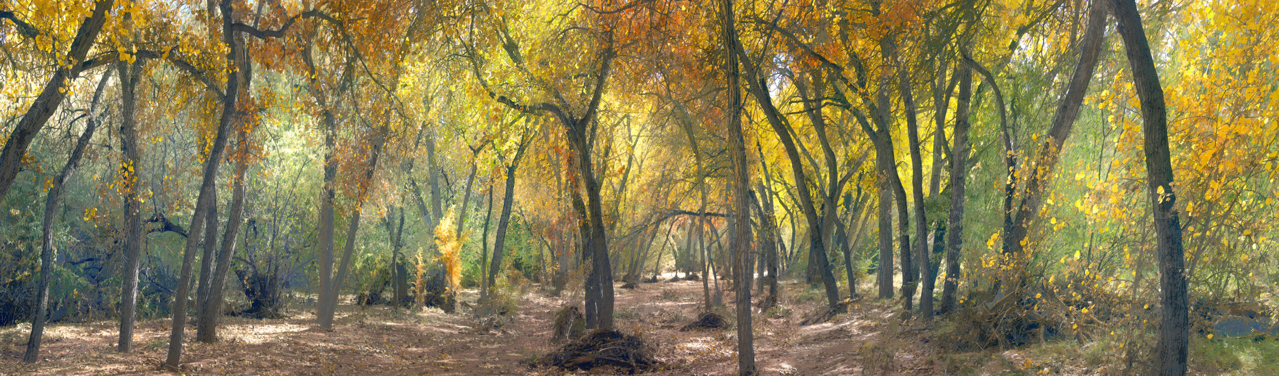 Cerro Pellon, a land formation SW of the village of Galisteo, NM